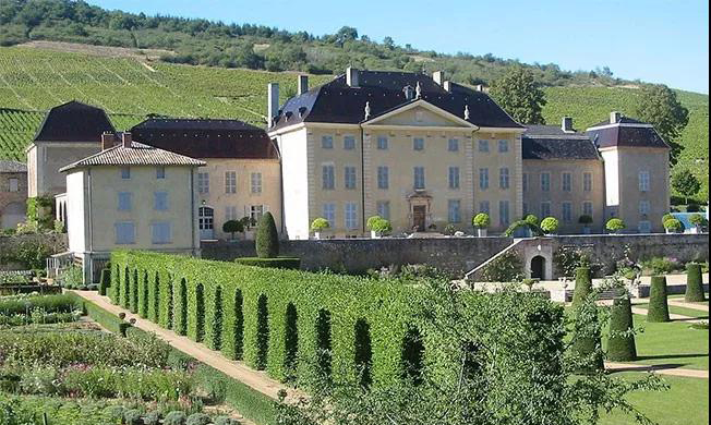 酒庄的葡萄是谁种的?揭开法国葡萄园所有权之谜